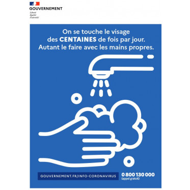 Distributeur de gel hydroalcoolique à pied - Borne de désinfection des mains - Capacité 1 L - Coloris gris