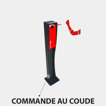 Distributeur de gel hydroalcoolique à pied - Borne de désinfection des mains - Capacité 1 L - Coloris gris