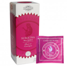 Dosette ESE Cafés Richard Sumatra 100% Arabica - 25 dosettes emballées individuellement