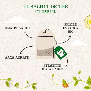 Thé Vert Bio Clipper Mangue - 6 boites - 120 sachets