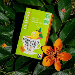 Thé Vert Bio Clipper Mangue - 20 sachets