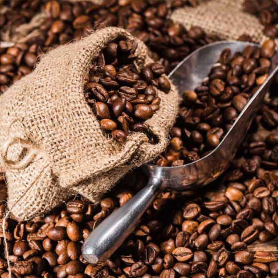 Café de Spécialité en Grains Bio Loutsa El Palto - 250 gr
