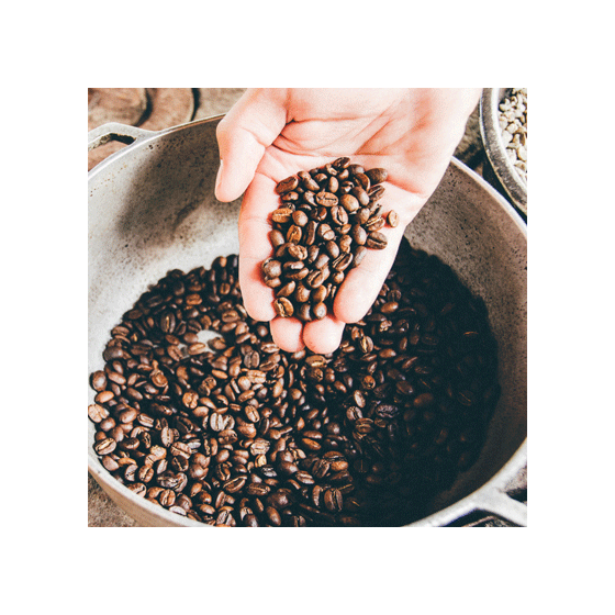 Café en Grains Lavazza Pronto Crema Grande Aroma - 12 paquets - 12 Kg