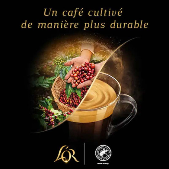 Capsule Nespresso ® Compatible Café L'Or Barista Capsule XXL Double Extra Long Doux Jaune - 10 capsules