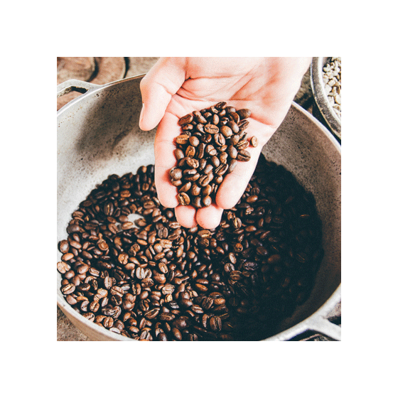 Café en Grains Bio Terra Etica Guatemala - 1 Kg