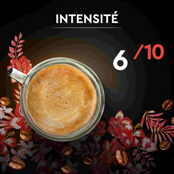 Café en Grains Bio Carte Noire Sélection Honduras - 500 gr