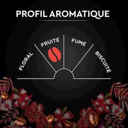 Café en Grains Bio Carte Noire Sélection Honduras - 500 gr