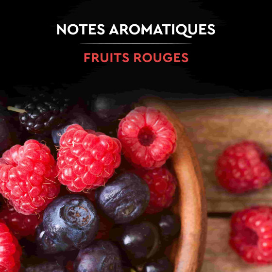 Café en Grains Bio Carte Noire Sélection Honduras - 500 gr