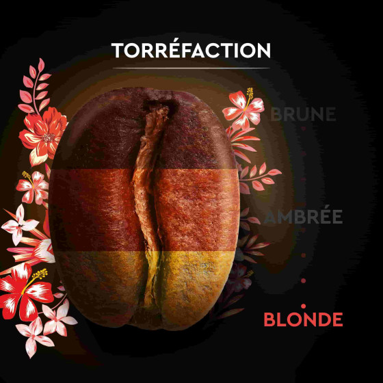Café en Grains Bio Carte Noire Sélection Honduras - 500 gr