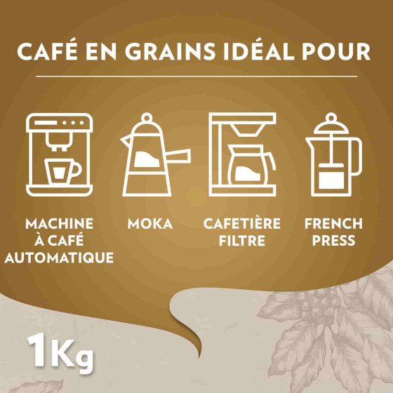 Café en Grains Lavazza Qualita Oro - 1 Kg