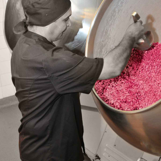 Chocolat Voisin Spécialités de Lyon Les Pralines Roses - 45 gr