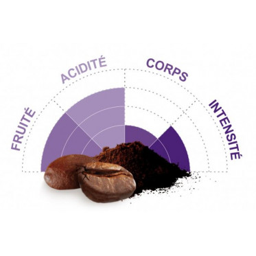 Café en Grains Bio Terra Etica Bolivie - 3 paquets - 3 Kg