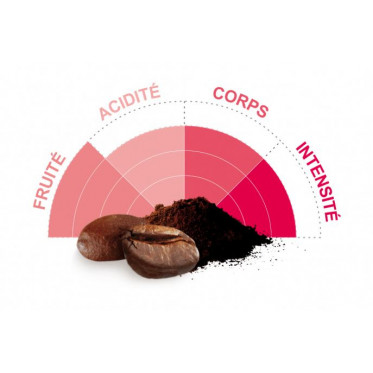 Café en Grains Bio Terra Etica Colombie - 3 paquets - 3 Kg