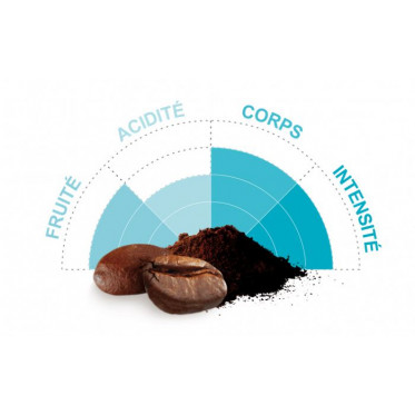 Café en Grains Bio Terra Etica Honduras - 3 paquets - 3 Kg