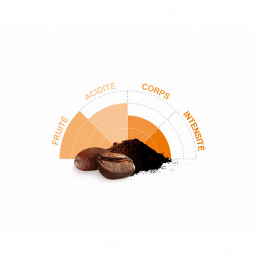 Café en Grains Bio Terra Etica Pérou - 3 paquets - 3 Kg