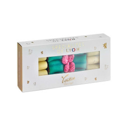 Chocolat Voisin Spécialités de Lyon Coussin, Praline, Quenelle - 230 gr