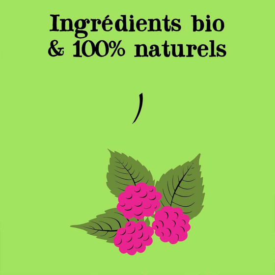 Thé Vert Bio Clipper Framboise Menthe - 6 boites - 120 sachets