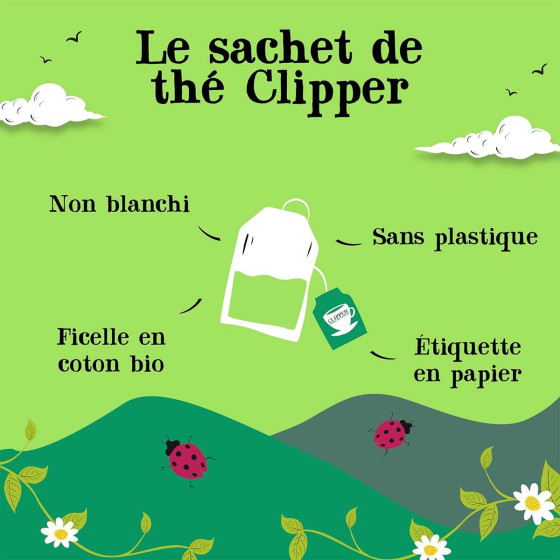 Thé Vert Bio Clipper Framboise Menthe - 6 boites - 120 sachets