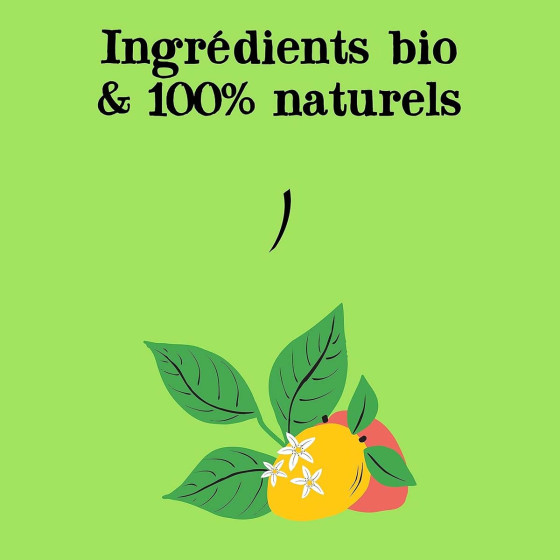 Thé Vert Bio Clipper Mangue - 6 boites - 120 sachets