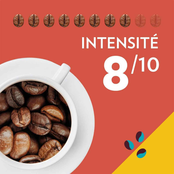 Café en Grains Lavazza Tales of Roma - 3 paquets - 750 gr