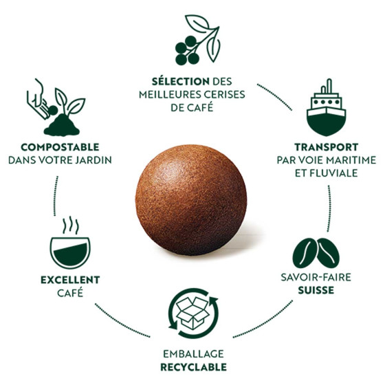 Boule de café CoffeeB illy Classico Espresso - 9 boules