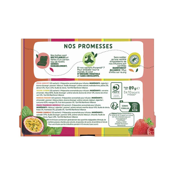 Coffret d'Infusions Fruitées Éléphant 5 variétés  - 6 coffrets - 300 sachets pyramides