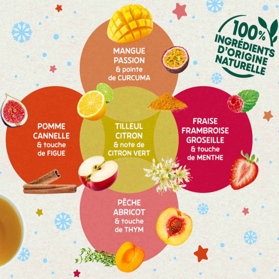 Coffret d'Infusions Fruitées Éléphant 5 variétés  - 6 coffrets - 300 sachets pyramides
