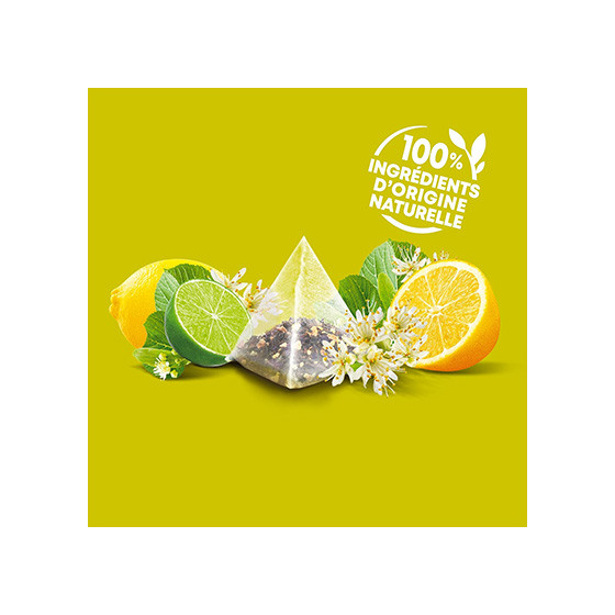 Coffret d'Infusions Fruitées Éléphant 5 variétés  - 6 coffrets - 300 sachets pyramides