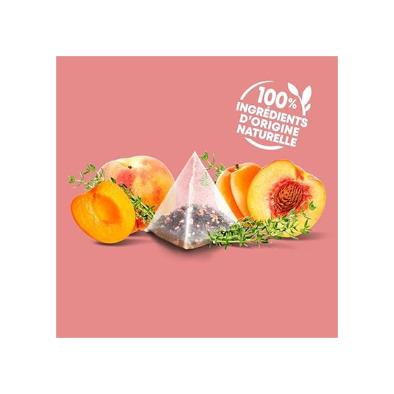 Coffret d'Infusions Fruitées Éléphant 5 variétés  - 6 coffrets - 300 sachets pyramides