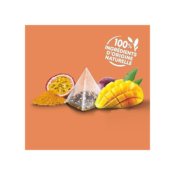Coffret d'Infusions Fruitées Éléphant 5 variétés  - 6 coffrets - 300 sachets pyramides
