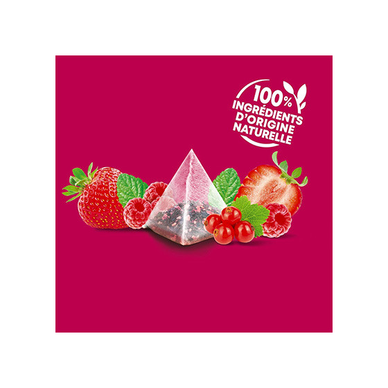 Coffret d'Infusions Fruitées Éléphant 5 variétés  - 4 coffrets - 200 sachets pyramides