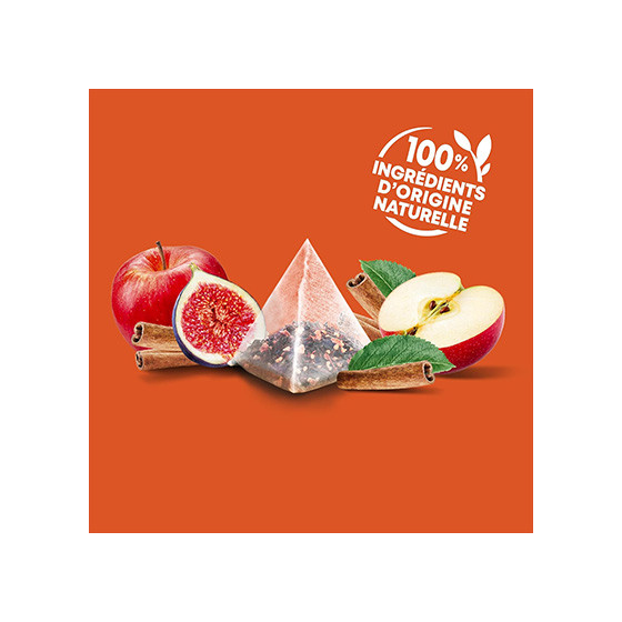 Coffret d'Infusions Fruitées Éléphant 5 variétés  - 4 coffrets - 200 sachets pyramides