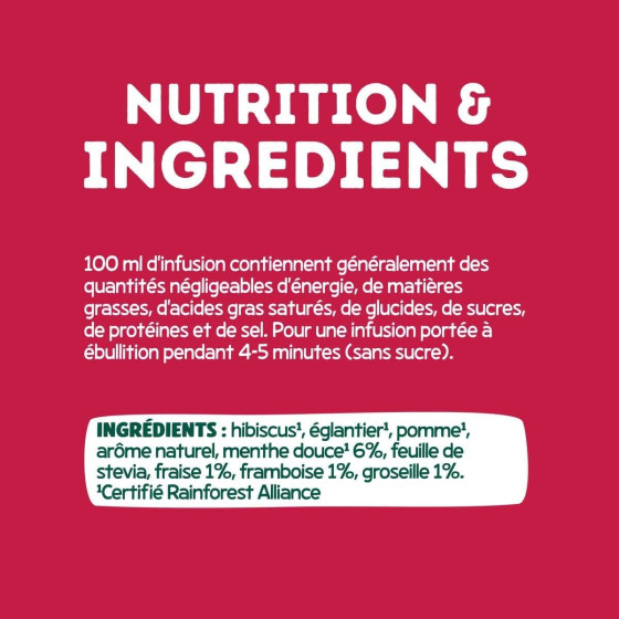 Infusion Éléphant Fruit Rouges Menthe - 20 sachets pyramide