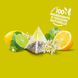 Infusion Éléphant Tilleul Citron et Citron Vert - 20 sachets pyramide