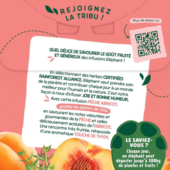 Infusion Éléphant Pêche Abricot Thym - 20 sachets pyramide