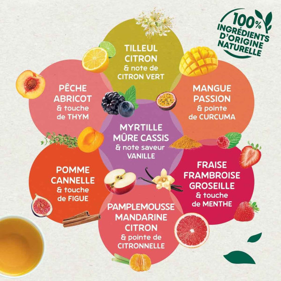 Pack Découverte Infusion fruitées Éléphant - 3 variétés - 60 sachets