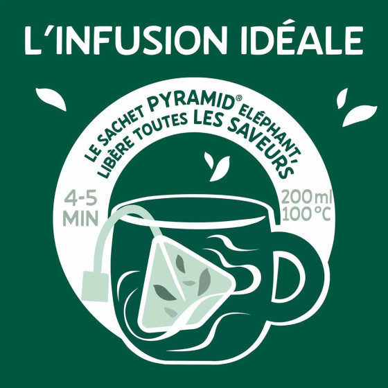 Pack Découverte Infusion fruitées Éléphant - 3 variétés - 60 sachets