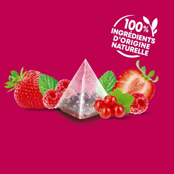 Pack Découverte Infusion fruitées Éléphant - 3 variétés - 60 sachets