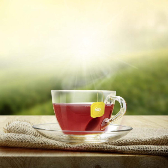 Rooibos Lipton - 25 sachets