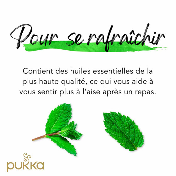 Infusion Bio Pukka 3 Menthe - 20 sachets
