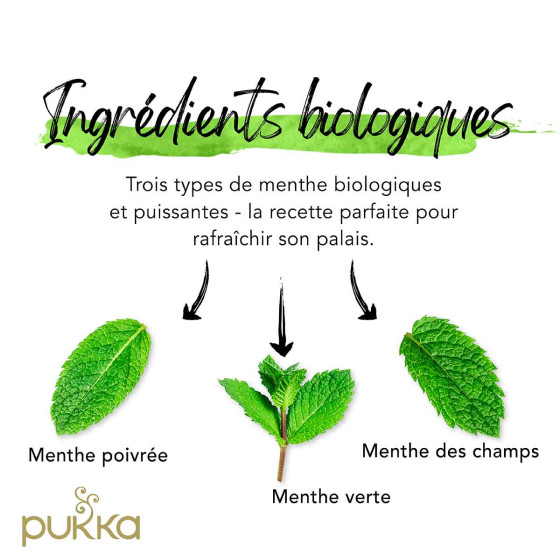 Infusion Bio Pukka 3 Menthe - 20 sachets