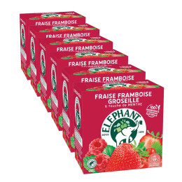 Infusion Éléphant Fruits Rouges Menthe - 6 boites - 120 sachets pyramide