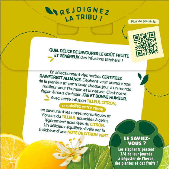 Infusion Éléphant Tilleul Citron et Citron Vert - 6 boites - 120 sachets pyramide