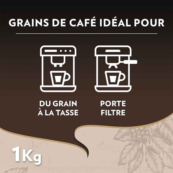 Café en Grains Lavazza Espresso Barista Perfetto - 12 paquets - 12 Kg
