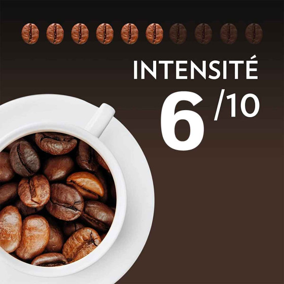 Café en Grains Lavazza Espresso Barista Perfetto - 3 paquets - 3 Kg