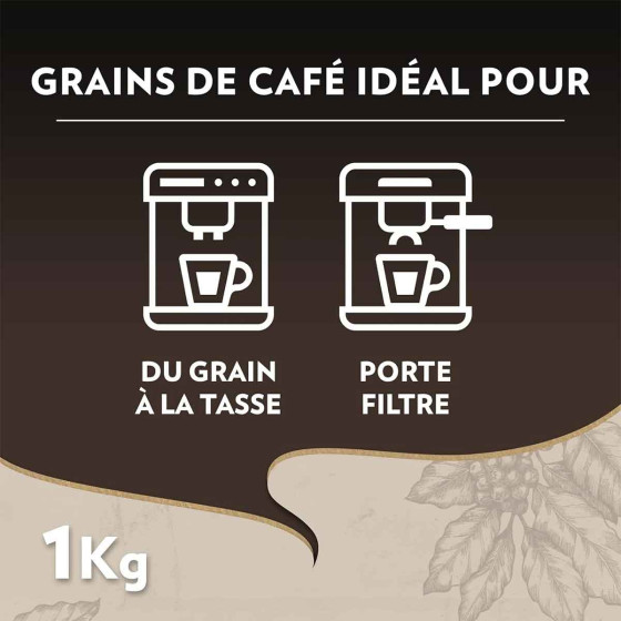 Café en Grains Bio Lavazza Espresso Maestro - 3 paquets - 3 Kg