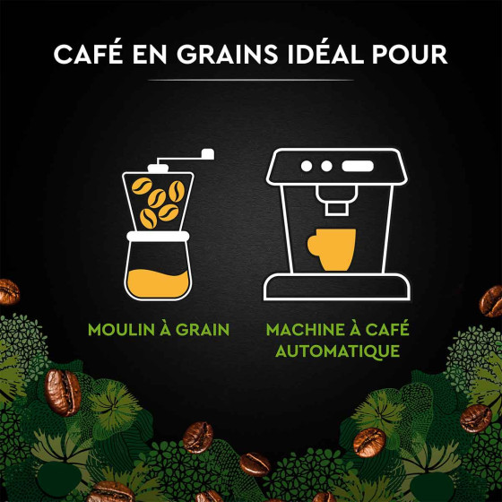 Café en Grains Bio Carte Noire - 6 paquets - 6 Kg