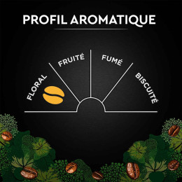Café en Grains Bio Carte Noire - 1 Kg