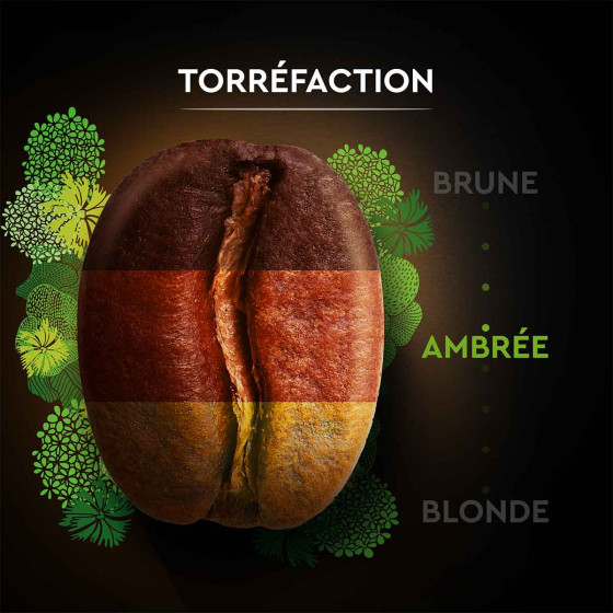 Café en Grains Bio Carte Noire - 1 Kg