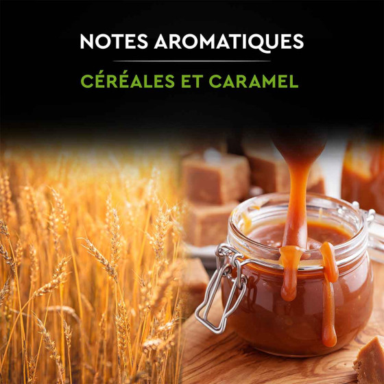 Café en Grains Bio Carte Noire - 1 Kg